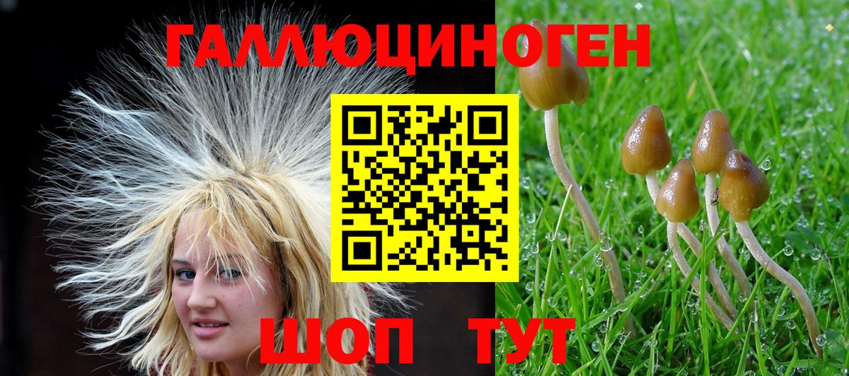 Галлюциногенные грибы MAGIC MUSHROOMS Новодвинск